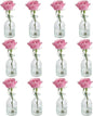 Set of 12 Glass Vases Bud Vases in Bulk, Small Vase for Flowers, Clear Vases Set for Rustic Wedding Decorations, Home Table Flower Decor, Shelf Decor Mini Vases 2.85"X 5.4"