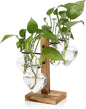 Plants Propagation Stations Plant Terrarium Kit Glass Planters for Indoor Plants House Plant Accessories Gift for Women - 4 Love Bulb Vase