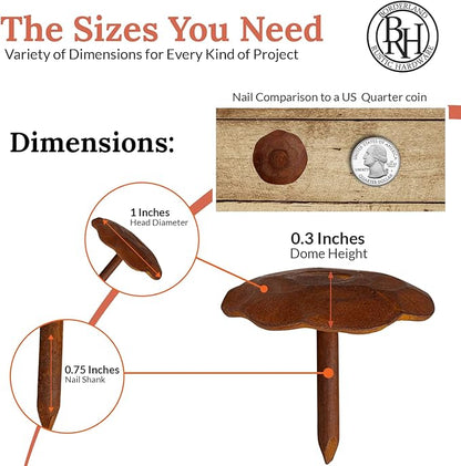 50 Pack 1" Small Round Head Iron Clavos Decorative Nails – Rusted – Handmade Rustic Round Fasteners for Farmhouse Shutter, Faux Wood Beams, Barn Door, Shutters, and Gates – Ornamental Wood Accent