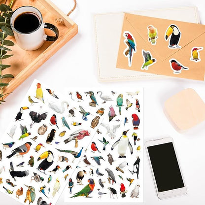 Bird Stickers 850 Count Tropical Bird Parrot Flamingo Peacock Hummingbirds Stickers Animal Party Favors Gifts Sticky Decor for Scrapbook Calendar Planner Gift Wrap Decor