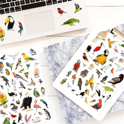Bird Stickers 850 Count Tropical Bird Parrot Flamingo Peacock Hummingbirds Stickers Animal Party Favors Gifts Sticky Decor for Scrapbook Calendar Planner Gift Wrap Decor