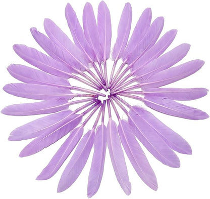 FeelfunFeather 120pcs Light Purple Goose Cochettes Feather Natural Bulk 4-6 inch 10-15cm for Wedding Party Christmas Decorations DIY Crafts Goose Cochettes Feather
