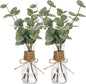 2 Pack Artificial Eucalyptus Stems in Glass Vase Decorative Greenery Artificial Plant with Double Sided Green Eucalyptus Leaves for Home Office Decor (Green-2Pcs)