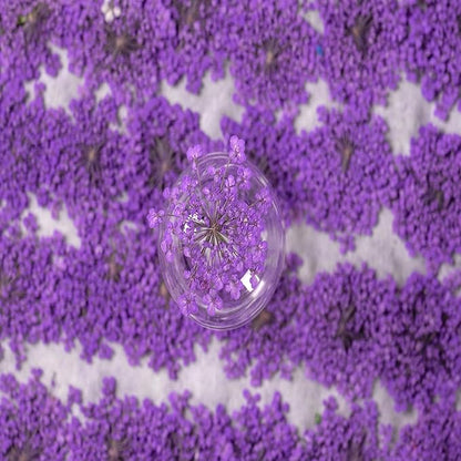 60 Pcs Dried Pressed Flowers for Resin DIY Art Crafts Natural Dry Floral Epoxy Jewelry Real Lace Flower Decor Cakes Phone Cases Candles Handmade Soap Mix Lace Flower