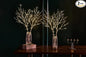 Fudios Lighted Branches with Timer Battery Operated 30IN Tall Birch Twig Lights for Vase 100 LED Outdoor and Indoor Holiday Winter Decor 2Set