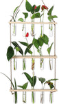 YIBOT Propagation Stations,3 Tiered of Propagation Tubes with Wooden Stand,Mini Glass Test Tubes Vase,Plant Terrarium for Hydroponic Home Garden Office Decor, Gardening Gift for Women Plant Lover
