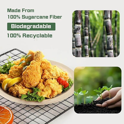 Disposable Paper Plates, 9 inch Heavy Duty Paper Plate, Soak and Cut Proof, Natural Biodegradable Bagasse Plates for Microwave, Dinner, Party, Picnic,125 Pack