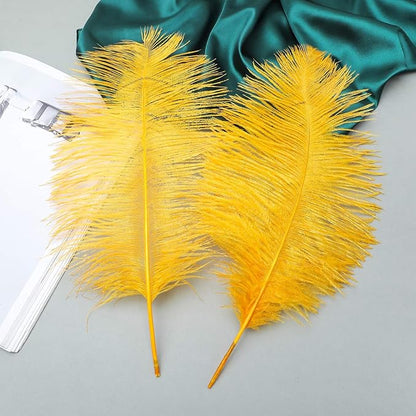 Ballinger Big Gold Ostrich Feathers - 24Pcs 12-14inch Large Feathers for Vase,Gatsby Party Centerpieces Mardi Gras and Home Decor