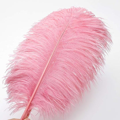 24pcs Natural Lotus Pink Ostrich Feathers 10-12inch (25-30cm) for Wedding Party Centerpieces，Flower Arrangement and Home Decoration.