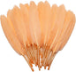 FeelfunFeather 120pcs Champagne Goose Cochettes Feather Natural Bulk 4-6 inch 10-15cm for Wedding Party Christmas Decorations DIY Crafts Goose Cochettes Feather