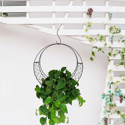 Air Plants Holders Wire Wreath Frame Hanger, 11 inch Moon Shape Wreath Form Hanging Plant Holder Metal Hanging Orchid Planter Plant Basket Holder, Succulent Wire Wreath Frame with Hook