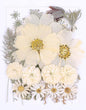 48PCS White Large Real Dried Pressed Flowers Leaves Natural Plant Herbarium for DIY Resin Mold Jewelry Making Craft (12 Styles)