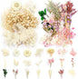 Vignee Real Dried Pressed Leaf Flowers-Multiple Colorful Pressed Flowers Daisies for Craft Resin Jewelry Making Art Craft DIY（White&Light Pink）
