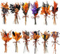 10/12/24/36 Pack Mini Dried Flowers for Vase Wedding Various Mini Bouquet Dried Small Wildflowers Natural Flowers Bulk for Crafts DIY Decor (12, Halloween Color1)