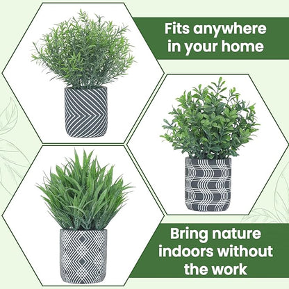3 Pack Small Fake Plants, Fake Grass Plant, Artificial Boxwood & Rosemary with Geometric Pattern Cement Pots, Small Potted Faux Greenery for Home Decor, Bathroom, Office, Farmhouse Decoration