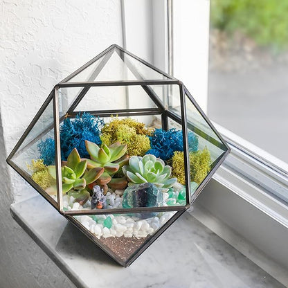 DIY 7" Geometric Terrarium Kit - Build Your Own Glass Terrarium for Adults & Kids with Moss, Crystals, Tools & Decorative Figurine - Mini Ecosystem - Handcrafted in The USA