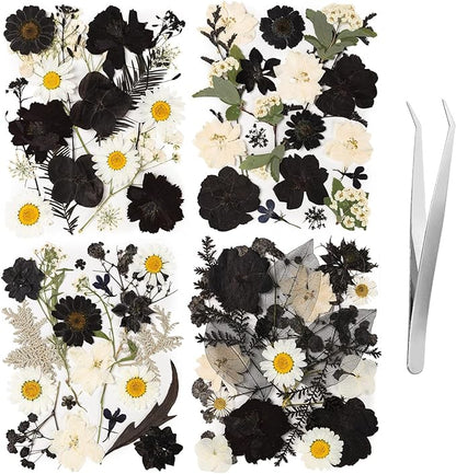 78 Pcs Black and White Dried Pressed Flowers with Tweezer, Halloween Themed Real Dried Flowers Leaves for DIY Crafts Resin Molds, Dried Flowers for Autumn Halloween Decorations