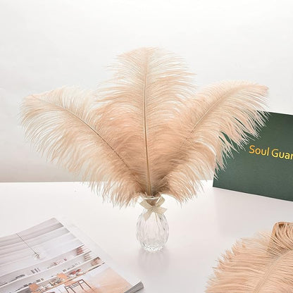 Ballinger Champagne Large Ostrich Feathers - 12Pcs 14-16inch Large Boho Feathers for Vase,Wedding Party Centerpieces and Holiday Home Decor