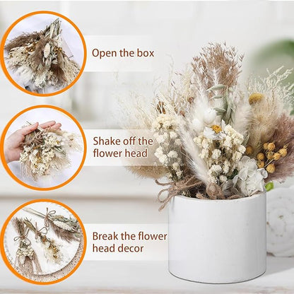 10/12/24/36 Pack Mini Dried Flowers for Vase Wedding Various Mini Bouquet Dried Small Wildflowers Natural Flowers Bulk for Crafts DIY Decor (36, Plain Colour)