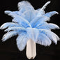 THARAHT Light Purple Ostrich Feathers 12pcs Natural Bulk 10-12Inch 25cm-30cm for Crafts Wedding Party Centerpieces Easter Gatsbi and Home Decoration Feathers