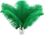 Ballinger Large Green Ostrich Feathers - 24pcs 12-14inch Long Feathers for Vase, Wedding Party Centerpieces Mardi Gras Decorations and Home Decor…