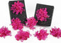 HUIHUANG Hot Pink Bows for Gift Wrapping Curly Gift Bow 5 inch x 8 Counts Self-Adhesive Ribbon Bows for Presents, Paper Bag, Party Favors, Wrapping Accessories, Holiday Wedding Decoration