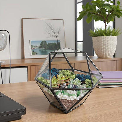 DIY 7" Geometric Terrarium Kit - Build Your Own Glass Terrarium for Adults & Kids with Moss, Crystals, Tools & Decorative Figurine - Mini Ecosystem - Handcrafted in The USA