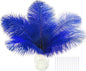 SOGUGOM Blue Craft Ostrich Feathers - 30PCS 8-10 inch Ostrich Feathers Kit for Centerpieces, Kindergarten Crafts, Dream Catchers and DIY Projects(Royal Blue)