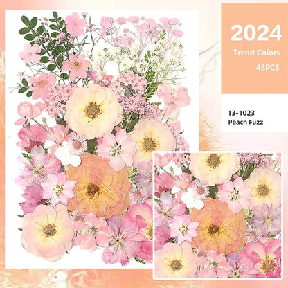 AHTONG 14 Types Pink Dried Pressed Flowers for Craft, Leaf Plant Herbarium for Resin Molds Jewelry Making Floral Decors (Peach Fuzz)
