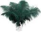 Ballinger Blackish Green Ostrich Feathers - 12Pcs 12-14inch Long Craft Feathers Bulk for Vase, Wedding Party Centerpieces Mardi Gras Decorations and Home Decor