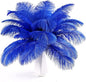 THARAHT Blue Ostrich Feathers 24pcs Natural Bulk 8-10Inch 20cm-25cm for Crafts Wedding Party Centerpieces Easter Gatsbi and Home Decoration Feathers