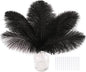 SOGUGOM Black Craft Ostrich Feathers - 30PCS 8-10 inch Ostrich Feathers Kit for Centerpieces, Kindergarten Crafts, Dream Catchers and DIY Projects(Black)