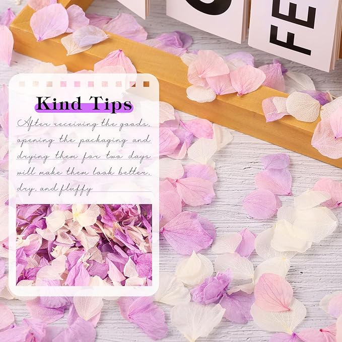 2500 PCS Purple and White Hydrangea Petals 100% Natural Real Flower Petals for Wedding Aisle, Flower Girl Scattering Flowers, Will You Marry Me, Romantic Night, Proposal, Anniversary, Special Night