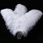 Larryhot White Large Ostrich Feathers - 16-18 inch 10pcs Feathers for Vase,Wedding Party Centerpieces and Home Decorations (White)
