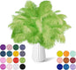NEWONG 30pcs Fruit Green Ostrich Feathers Natural Bulk 11-14inch(28-35cm) Vase Craft Wedding Home Party Centerpieces Christmas Day Decoration
