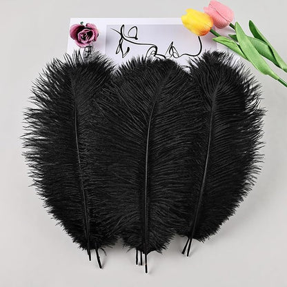 THARAHT Black Ostrich Feathers 24pcs Natural Bulk 8-10Inch 20cm-25cm for Crafts Wedding Party Centerpieces Halloween and Home Decoration Feathers