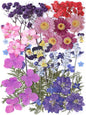 11 Types 46pcs Real Dried Pressed Flowers Leaf Plant Herbarium for DIY Resin Jewelry Making Floral Decors (Purple)