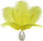 Ballinger Fluorescent Yellow Ostrich Feathers - 24Pcs 8-10inch Feathers Bulk for Vase, Party Centerpieces, Mardi Gras Decorations and Home Decor