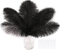 SOGUGOM Black Craft Ostrich Feathers - 30PCS 6-8 inch Ostrich Feathers Kit for Centerpieces, Kindergarten Crafts, Dream Catchers and DIY Projects(Black)