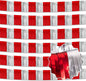 6 Pack 10 Feet Red and Silver Tinsel Foil Fringe Garland, Metallic Streamers Banner Wall Hanging Garland for Parade Floats, Graduation, Birthday, Baby Shower, Disco, Celebration Party Decoration