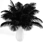 THARAHT Black Ostrich Feathers 12pcs Natural Bulk 10-12Inch 25cm-30cm for Crafts Wedding Party Centerpieces Halloween and Home Decoration Feathers