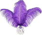 Happy Feather 16-18 inch Purple Ostrich Feathers Craft for Wedding Party Centerpieces Home Decoration DIY Craft Pack of 10