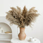 30-inch Tall Nature Pampas Grass Bouquet Decor - Boho Flowers and Feathers for Centerpieces, Perfect for Tall Floor Vase Fillers, Home Decor, Living Room, and Wedding Decor (20Pcs)