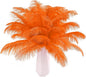 THARAHT Orange Ostrich Feathers 12pcs Natural Bulk 8-10Inch 20cm-25cm for Crafts Wedding Party Centerpieces Halloween and Home Decoration Feathers
