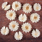 12PCS White Daisy Tissue Paper Pom Poms, Butterfly Birthday Decorations, Butterfly Wedding Wall Decor, Tissue Paper Flower Decoration for Wall Wedding Baby Shower Decor