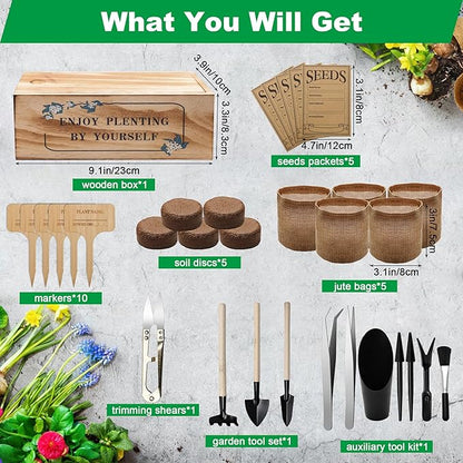 Bonsai Tree Starter Kit, Indoor Bonsai Tree Kit Meeting Planting and Caring Needs Curated Design for A Complete Gardening Experience for Enthusiasts