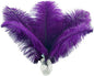 Ballinger Purple Ostrich Feathers Bulk - 24Pcs 8-10inch Feathers for Vase, Party Centerpieces Mardi Gras and Home Decor