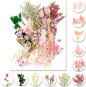 Vignee Real Dried Pressed Leaf Flowers-Multiple Colorful Pressed Flowers Daisies for Craft Resin Jewelry Making Art Craft DIY and Soap Candle Scrapbooking DIY Resin（Light Pink）