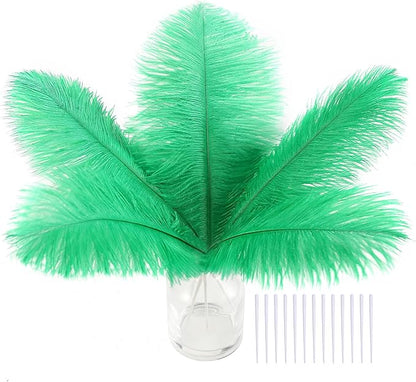 SOGUGOM Green Craft Ostrich Feathers - 30PCS 8-10 inch Ostrich Feathers Kit for Centerpieces, Kindergarten Crafts, Dream Catchers and DIY Projects(Green)