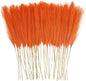 50pcs Burnt Orange Faux Pampas Grass Decor, 21.6" Short Artificial Fall Pompous Grass Floral Fake Orange Pompas Grass Branches Vase Filler Flower Arrangement for Home Wedding Fall Decor